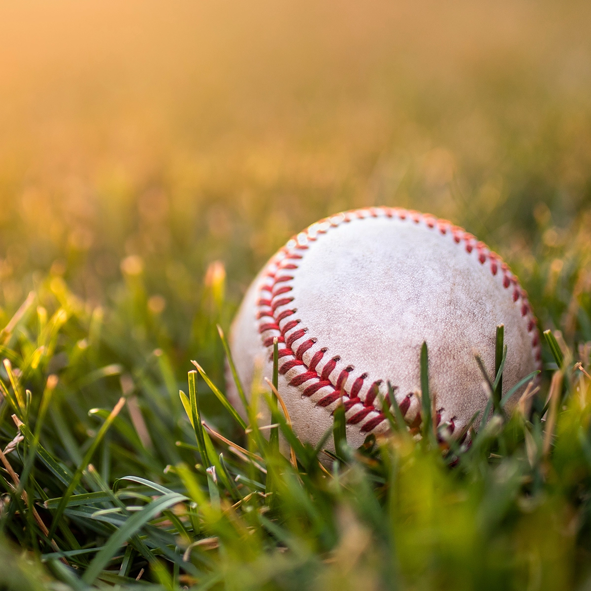 Baseball in the grass